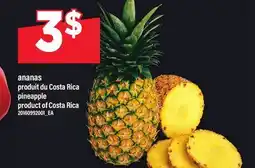 Maxi ANANAS offer