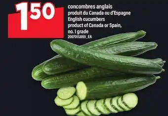 Maxi CONCOMBRES ANGLAIS | ENGLISH CUCUMBERS offer