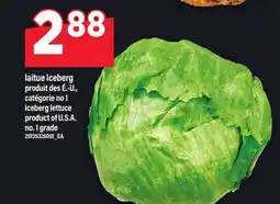 Maxi LAITUE ICEBERG | ICEBERG LETTUCE offer