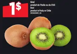 Maxi KIWI | KIWI offer