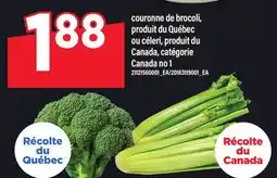 Maxi COURONNE DE BROCOLI OU CÉLERI offer