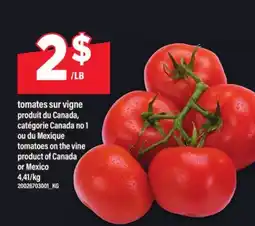 Maxi TOMATES SUR VIGNE | TOMATOES ON THE VINE offer