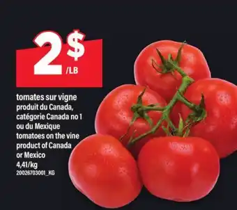Maxi TOMATES SUR VIGNE | TOMATOES ON THE VINE offer