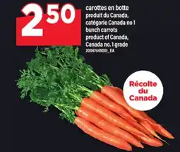 Maxi CAROTTES EN BOTTE | BUNCH CARROTS offer