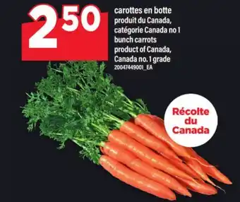 Maxi CAROTTES EN BOTTE | BUNCH CARROTS offer