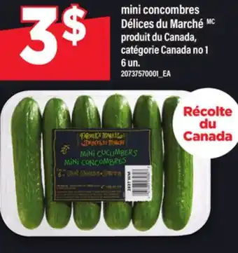 Maxi MINI CONCOMBRES DÉLICES DU MARCHÉMC, 6 un offer