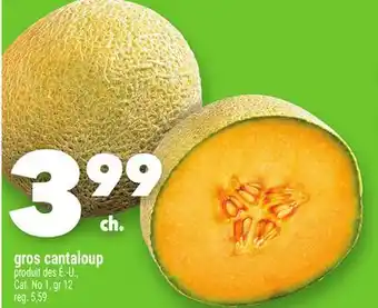 Marche Ami GROS CANTALOUP offer