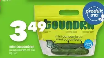 Marche Ami MINI CONCOMBRES offer