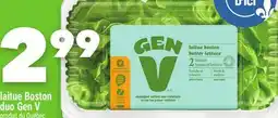 Marche Ami LAITUE BOSTON DUO GEN V offer