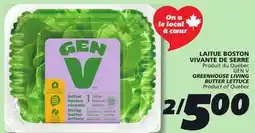 IGA GEN V GREENHOUSE LIVING BUTTER LETTUCE offer