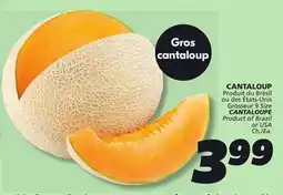 IGA CANTALOUPE offer
