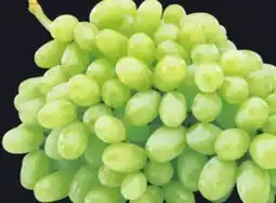 IGA SEEDLESS GREEN GRAPES offer