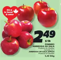 IGA AMBROSIA OR GALA APPLES offer