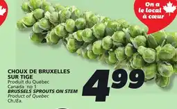 IGA BRUSSELS SPROUTS ON STEM offer
