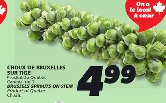 IGA BRUSSELS SPROUTS ON STEM offer