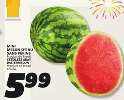 IGA SEEDLESS MINI WATERMELON offer