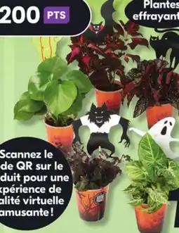 IGA AVEC MÉLANIE CREEPY PLANTS offer