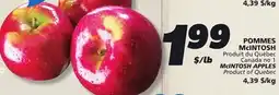 IGA McINTOSH APPLES offer