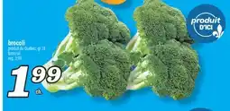 Marché Richelieu BROCCOLI | BROCCOLI offer