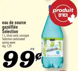 Marché Richelieu EAU DE SOURCE GAZÉIFIÉE SELECTION | SELECTION CARBONATED SPRING WATER offer