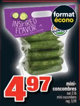 Super C MINI-CONCOMBRES | MINI CUCUMBERS offer