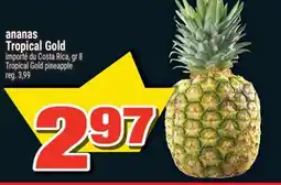 Super C ANANAS TROPICAL GOLD | TROPICAL GOLD PINEAPPLE offer