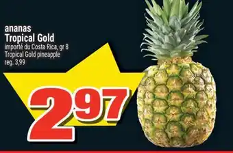 Super C ANANAS TROPICAL GOLD | TROPICAL GOLD PINEAPPLE offer
