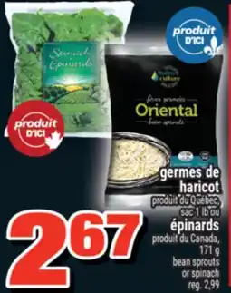 Super C GERMES DE HARICOT, ÉPINARDS | BEAN SPROUTS OR SPINACH offer