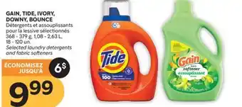 Brunet GAIN, TIDE, IVORY, DOWNY, BOUNCE Détergents et assouplissants pour la lessive sélectionnés offer