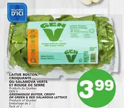 Marches Tradition GEN V BOSTON BUTTER GREEN RED SALANOVA LETTUCE offer