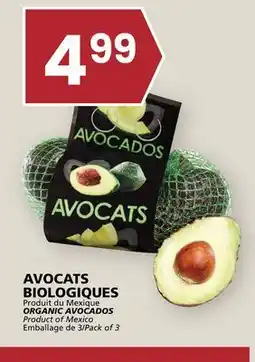 Rachelle-Bery Grocery ORGANIC AVOCADOS offer