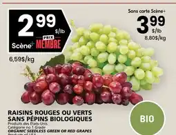 Rachelle-Bery Grocery ORGANIC SEEDLESS GREEN OR RED GRAPES offer