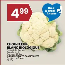 Rachelle-Bery Grocery ORGANIC WHITE CAULIFLOWER offer