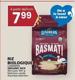 Rachelle-Bery Grocery LUNDBERG ORGANIC RICE offer