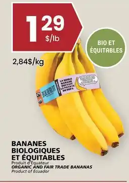 Rachelle-Bery Grocery ORGANIC AND FAIR TRADE BANANAS offer
