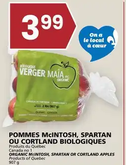 Rachelle-Bery Grocery ORGANIC MccINTOSH, SPARTAN OR CORTLAND APPLES offer