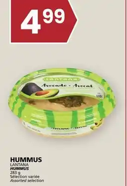 Rachelle-Bery Grocery HUMMUS LANTANA offer
