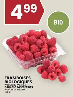 Rachelle-Bery Grocery ORGANIC RASPBERRIES offer