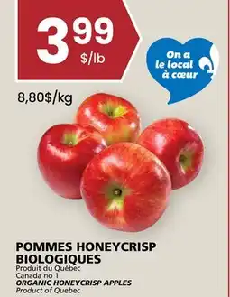 Rachelle-Bery Grocery ORGANIC HONEYCRISP APPLES offer