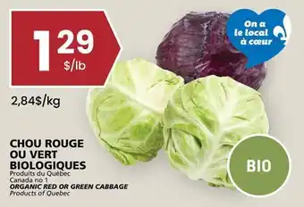 Rachelle-Bery Grocery ORGANIC RED OR GREEN CABBAGE offer