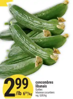 Marché Adonis Concombres libanais | Lebanese cucumbers offer
