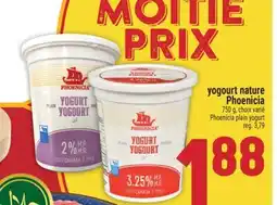 Marché Adonis YOGOURT NATURE PHOENICIA | PHOENICIA PLAIN YOGURT offer