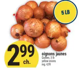 Marché Adonis OIGNONS JAUNES | YELLOW ONIONS offer