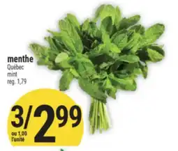 Marché Adonis MENTHE | MINT offer