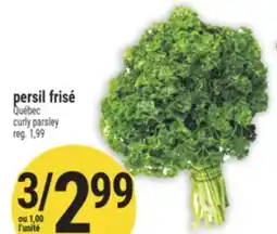 Marché Adonis PERSIL FRISÉ | CURLY PARSLEY offer