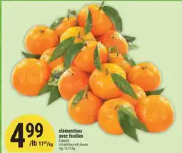 Marché Adonis CLÉMENTINES AVEC FEUILLES | ESPAGNE CLEMENTINES WITH LEAVES offer