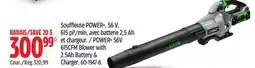 Canadian Tire EGO POWER+ 56V Brushless Cordless 615 CFM Leaf Blower, Includes (1) 2.5Ah Battery offer