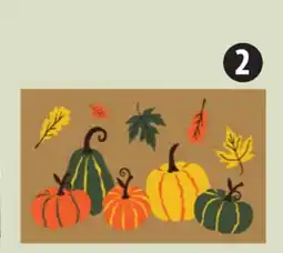 Canadian Tire Multy 18 x 30˝ Coir Door Mat offer