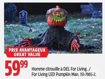Canadian Tire For Living LED Pumpkin Man offer