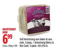 Canadian Tire Armstrong Berry and Nut Suet Bird Food offer